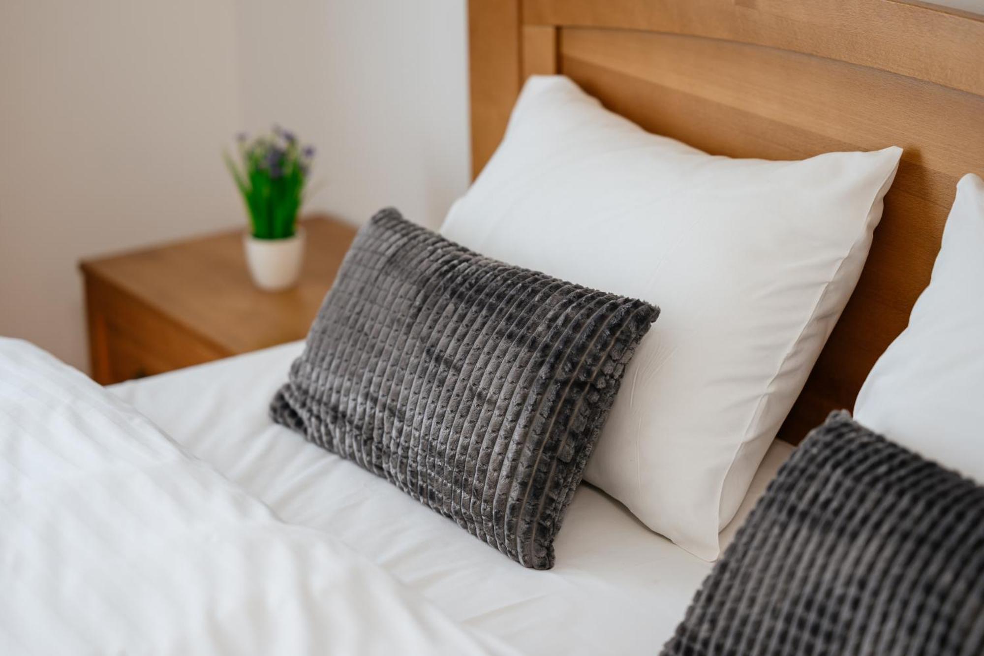 Luxury Apartments Uzhorod Екстериор снимка